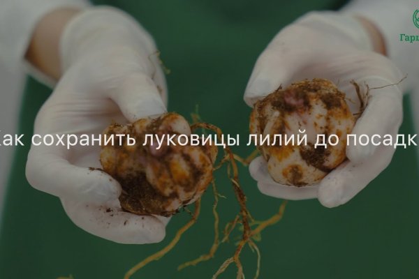 Сайт кракена актуальный