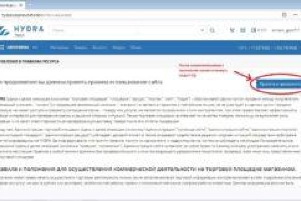 Kraken tor link