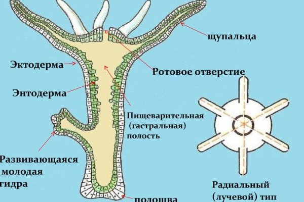 Кракен запрещенные вещества