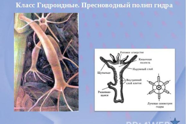 Как вернуть аккаунт кракен