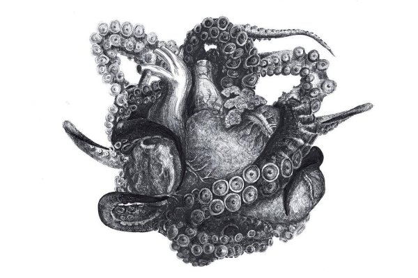 Kraken зеркало krakens13 at