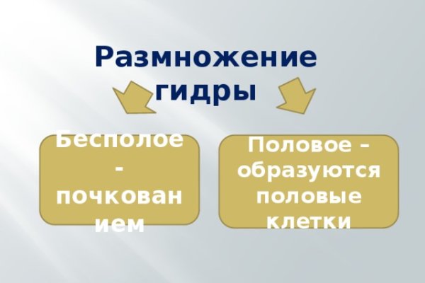 Ссылки на кракен зеркала