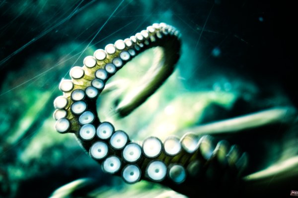 2krn cc официальный