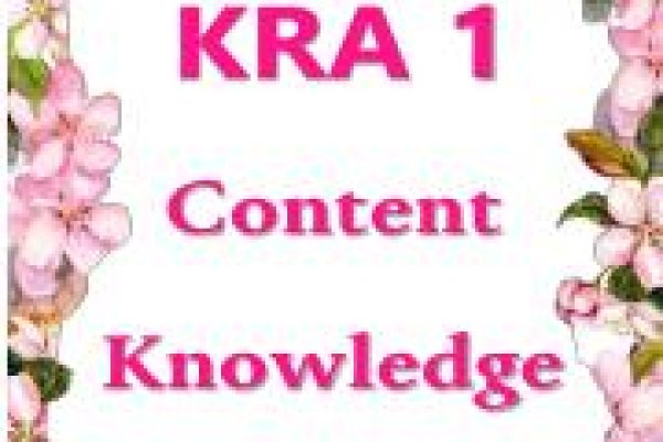 Kraken 19 at